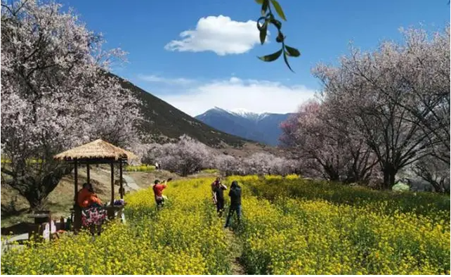 UWB高精度定位系统适用的场景有哪些